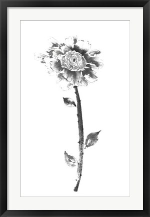 Framed Ink Rose Print