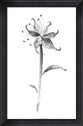 Framed Ink Tiger Lily Print
