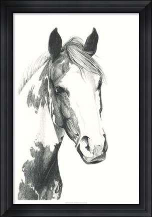 Framed American Paint I Print