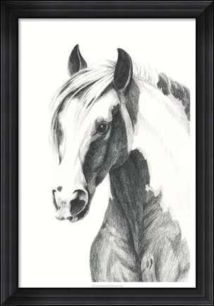 Framed American Paint II Print