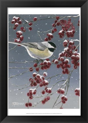 Framed Winter Chickadees I Print