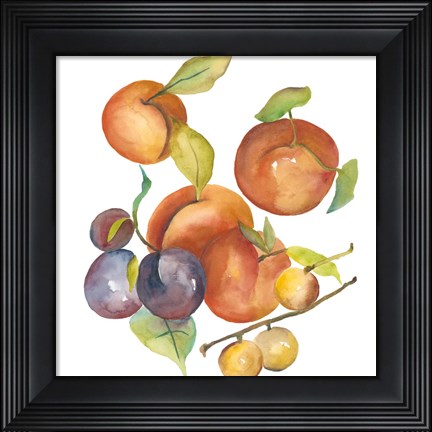 Framed Harvest Medley I Print