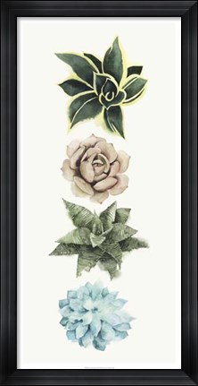 Framed Row of Succulents I Print