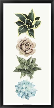 Framed Row of Succulents I Print