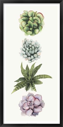 Framed Row of Succulents II Print