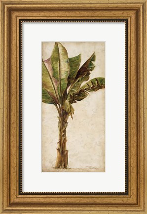 Framed Tropic Banana I Print