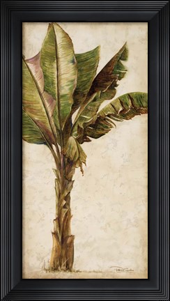 Framed Tropic Banana I Print