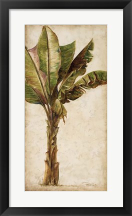 Framed Tropic Banana I Print