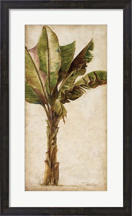 Framed Tropic Banana I Print