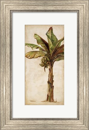 Framed Tropic Banana II Print