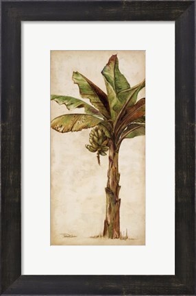 Framed Tropic Banana II Print