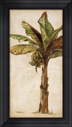 Framed Tropic Banana II Print