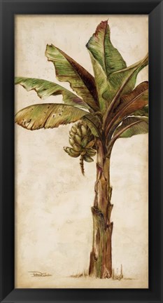 Framed Tropic Banana II Print