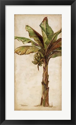 Framed Tropic Banana II Print