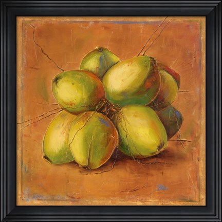 Framed Cocos Locos II Print