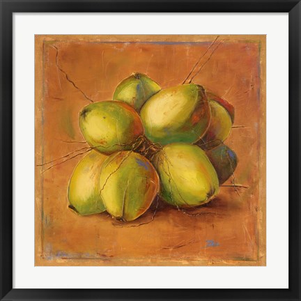 Framed Cocos Locos II Print