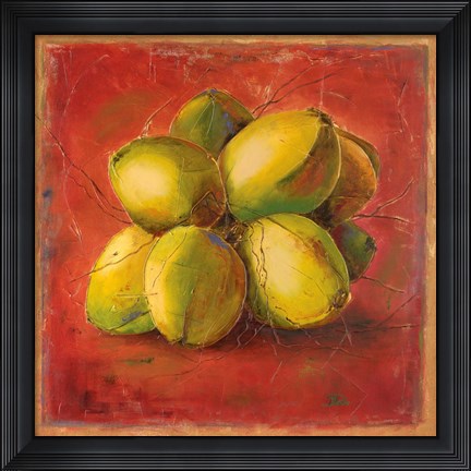 Framed Cocos Locos III Print