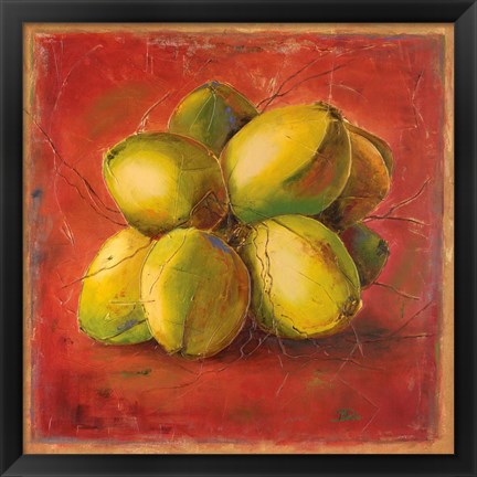 Framed Cocos Locos III Print