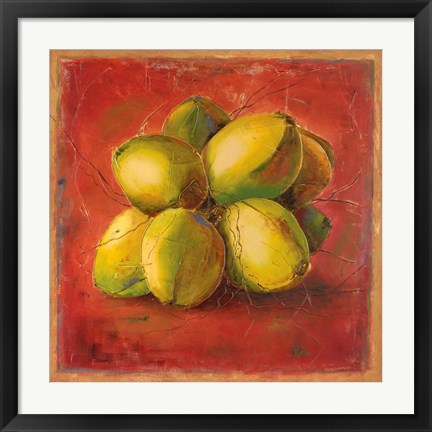 Framed Cocos Locos III Print