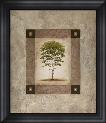 Framed European Pine II Print
