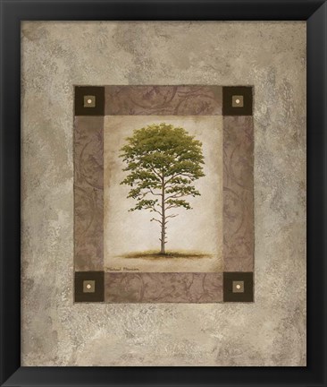 Framed European Pine II Print
