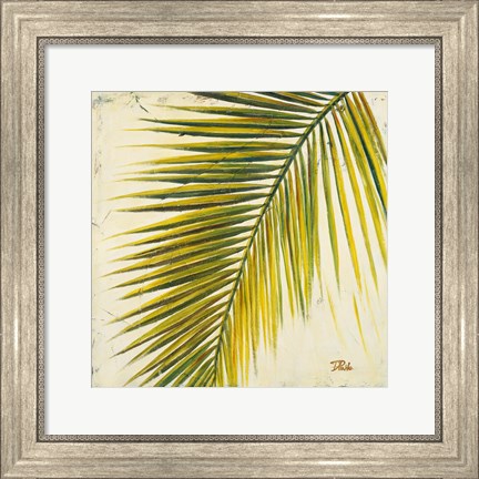 Framed Baru Palm I Print