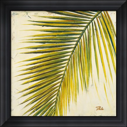 Framed Baru Palm I Print