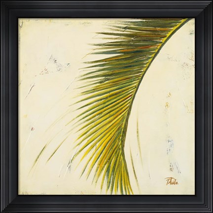 Framed Baru Palm II Print