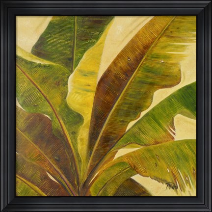 Framed Uraba I Print