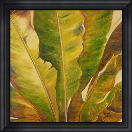 Framed Uraba II Print