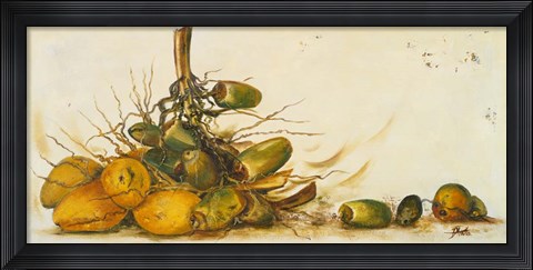 Framed Racimo de Cocos III Print