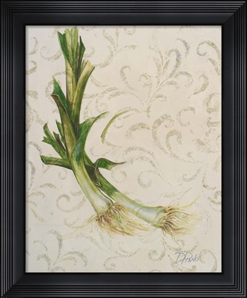 Framed Botanica II Print
