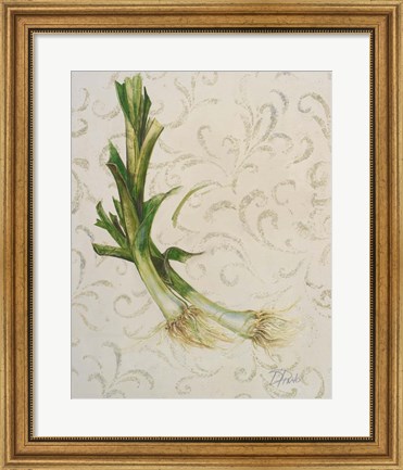 Framed Botanica II Print