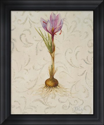 Framed Botanica III Print