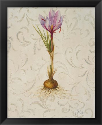 Framed Botanica III Print