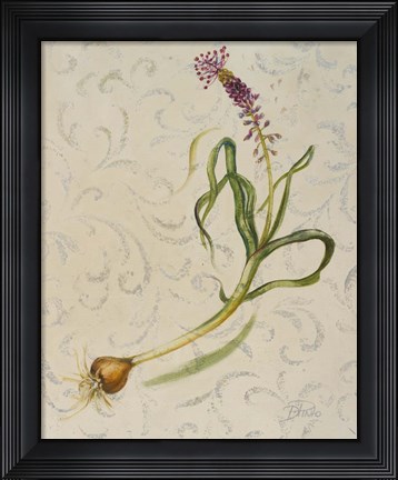 Framed Botanica IV Print