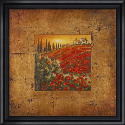 Framed Bella Toscana II Print