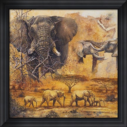 Framed Safari II Print