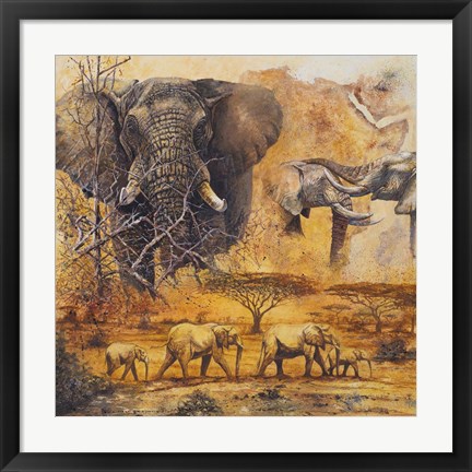 Framed Safari II Print