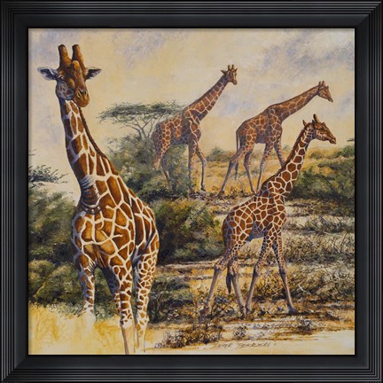 Framed Safari III Print
