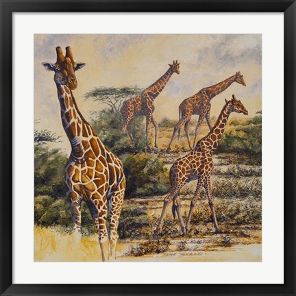 Framed Safari III Print