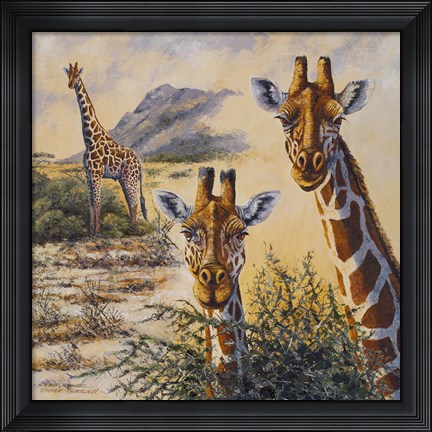 Framed Safari IV Print
