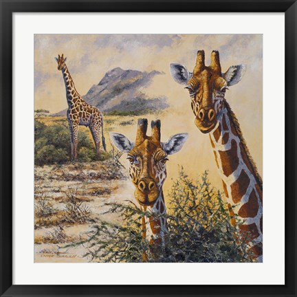 Framed Safari IV Print