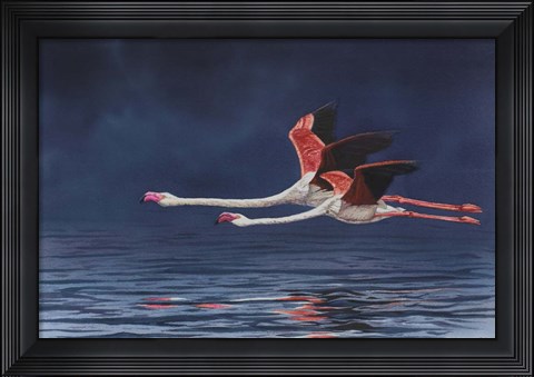 Framed Flying Flamingos Print