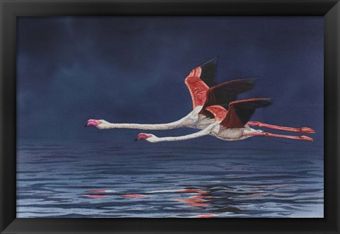 Framed Flying Flamingos Print