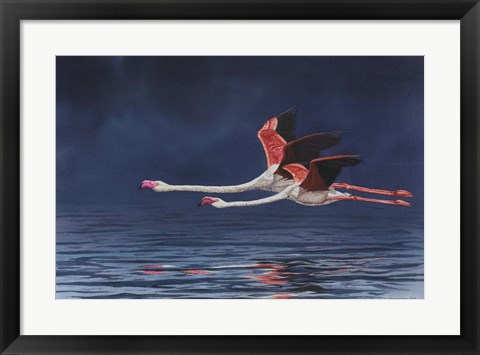 Framed Flying Flamingos Print