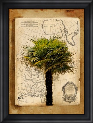 Framed America I Print