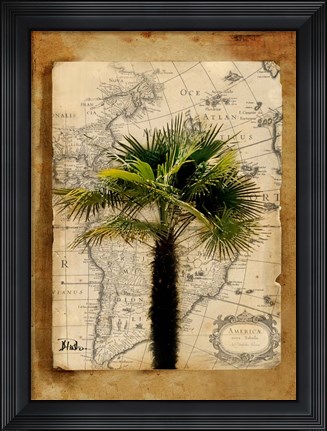 Framed America II Print