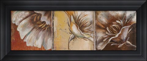 Framed Three Poppies II Print
