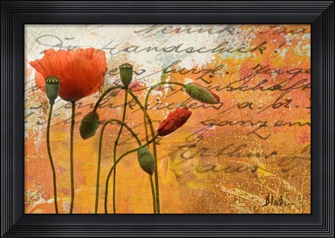 Framed Poppies Composition I Print